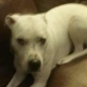 Meet your Posher, Karri